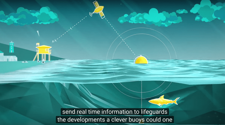 Una nueva tecnología para prevenir los ataques de tiburones