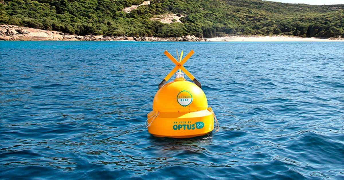 tiburon