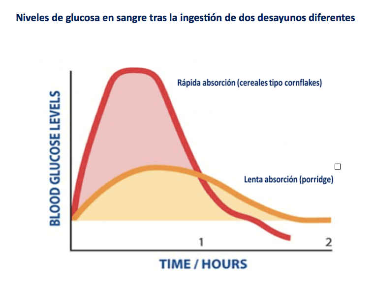 La alimentación en el surf: los carbohidratos 2 nutricion desayuno
