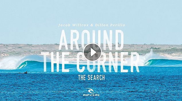 Un viaje a territorio desconocido: The Search