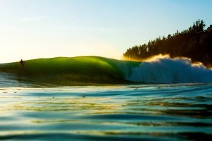El surf en Nueva Zelanda tras el terremoto 1 nueva zelanda kaikoura
