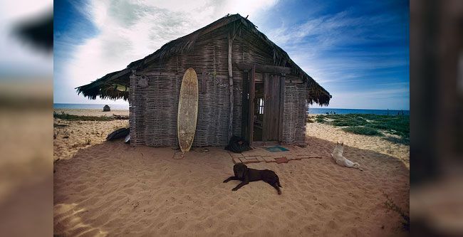 mexico casa surf