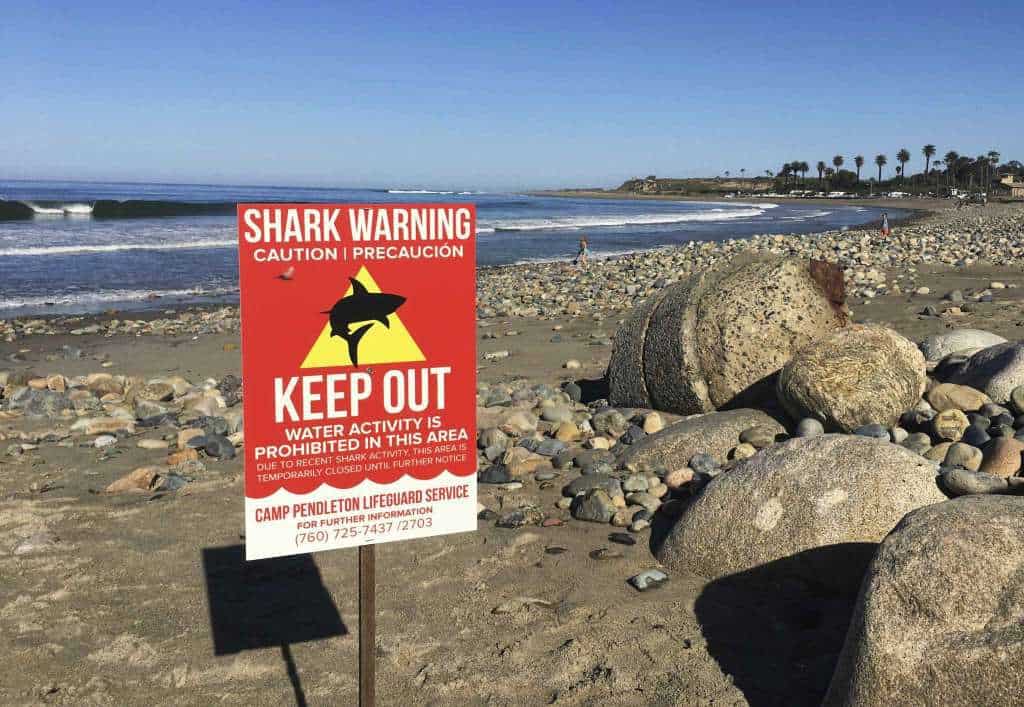 ¿Por qué han aumentado los ataques de tiburones? 1 ataque tiburones california
