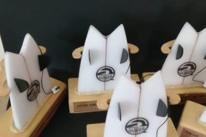 Premios Single Quiver Industria Surf